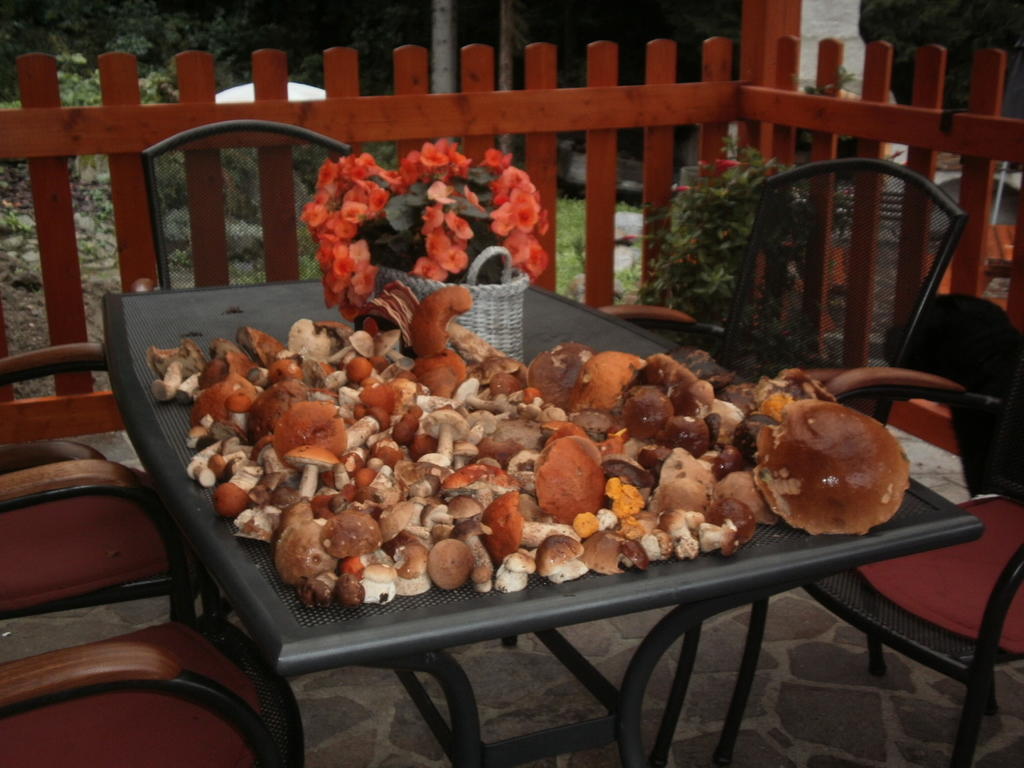 Penzion Harmonie Rohanov Prachatice Buitenkant foto